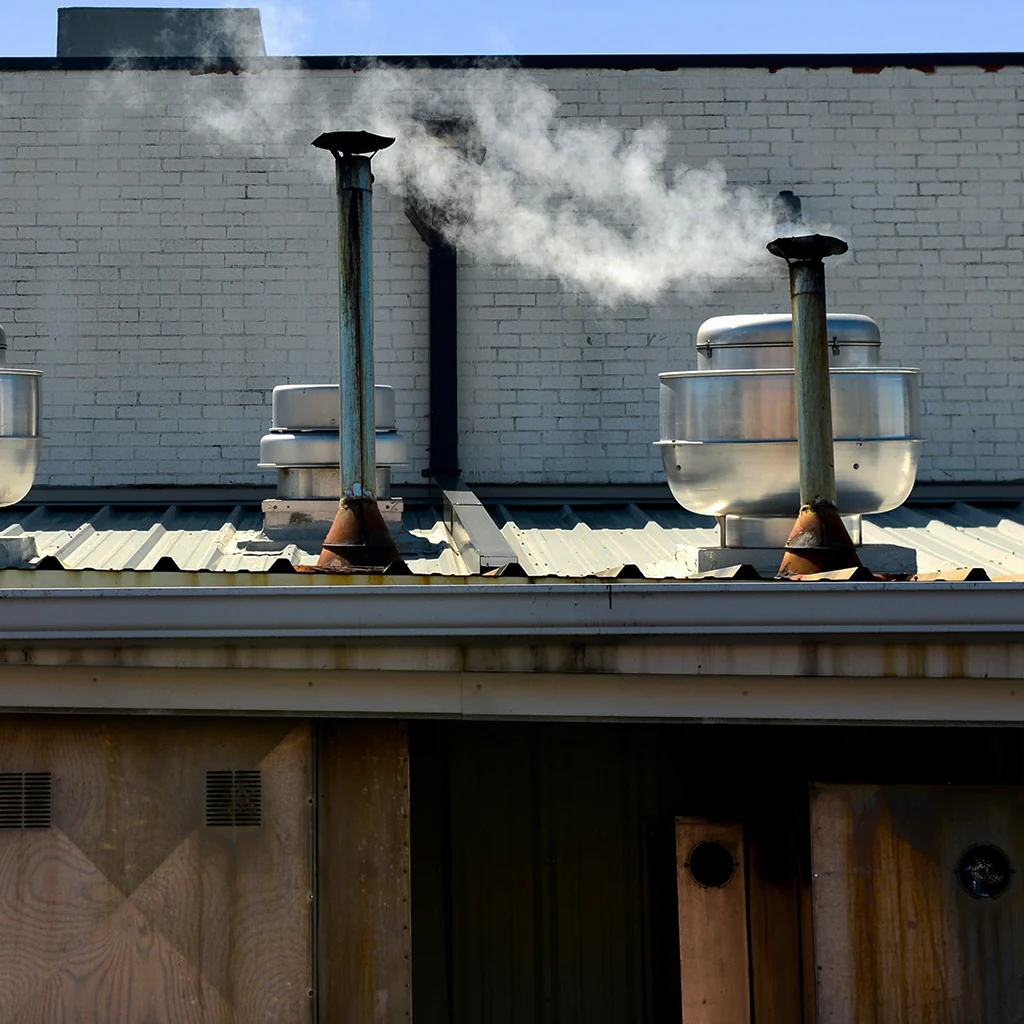 Pulled Pork & Ribs - Image 3