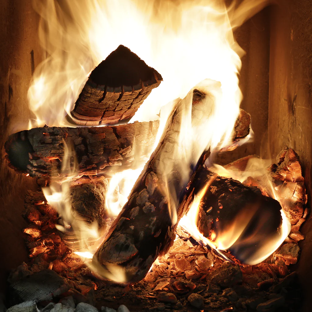 Sliced Brisket Packages - Image 4